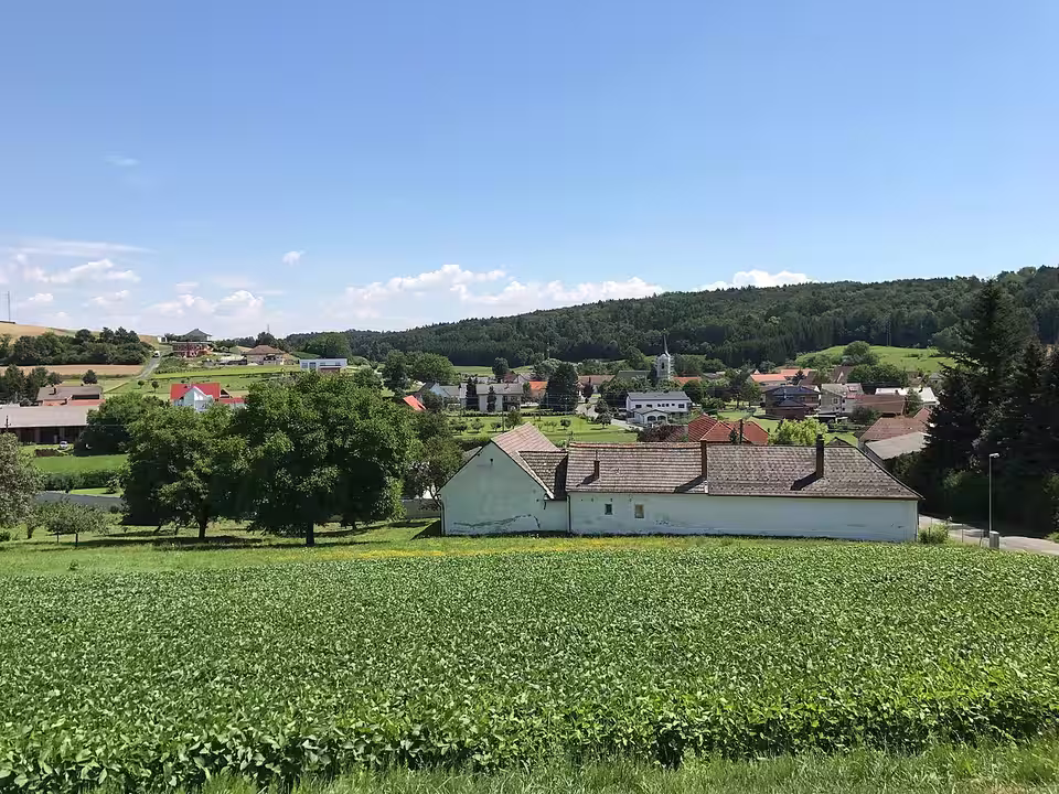 Blick über ein Feld auf Heugraben