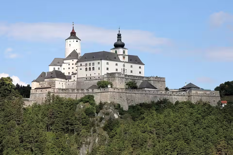 Burg Forchtenstein über dem bewaldeten Hang