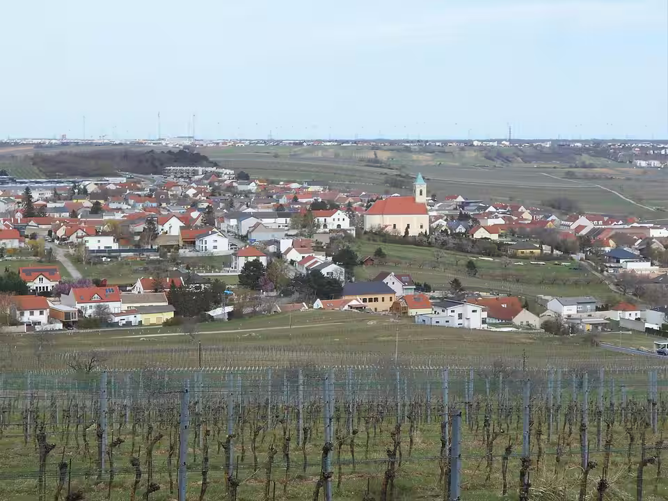 Blick vom Jungerberg über Weingärten auf Jois