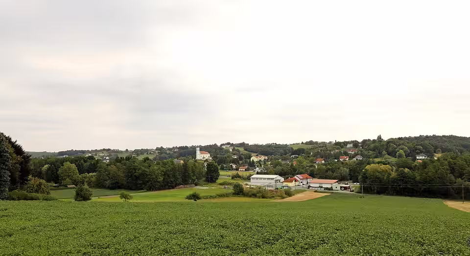 Blick über Felder auf Litzelsdorf