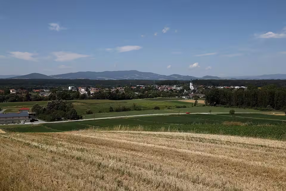Blick über Felder auf Markt Allhau