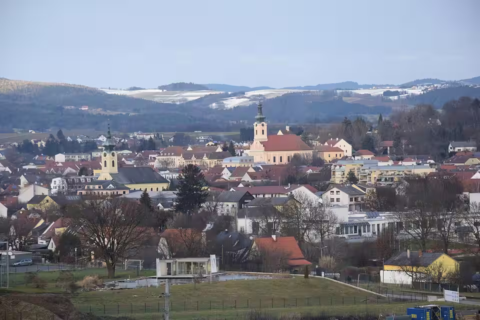 Blick über die Dächer auf die Kirche in Pinkafeld