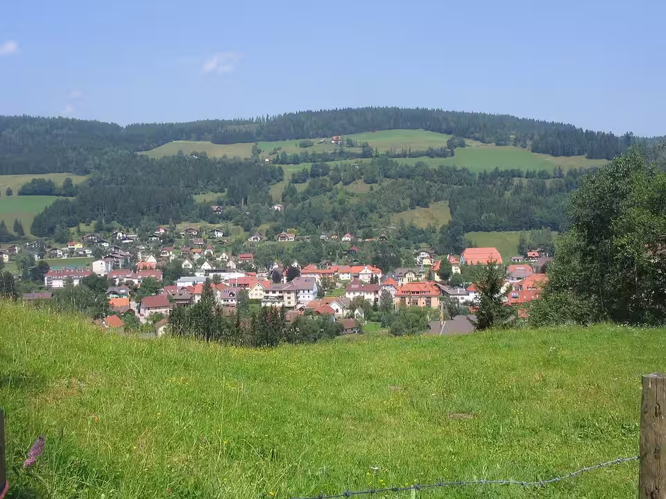Blick über eine Wiese auf Gurk