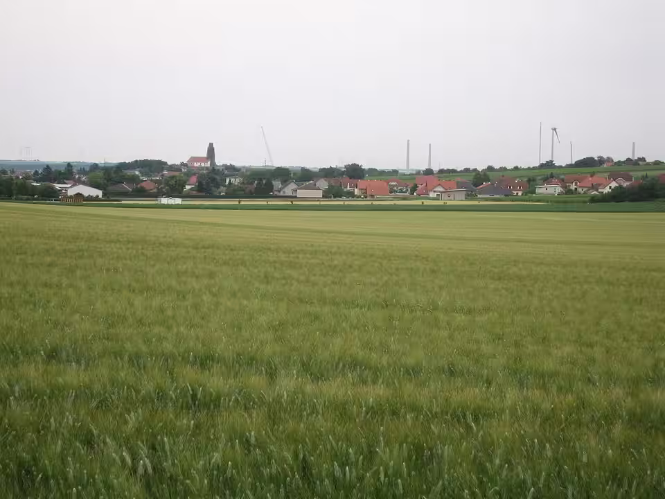 Blick über ein Feld auf Höflein