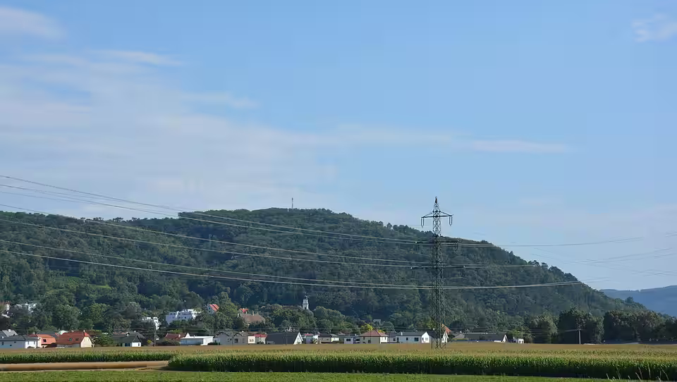Blick über Felder auf Bisamberg vor dem bewaldeten Hügel