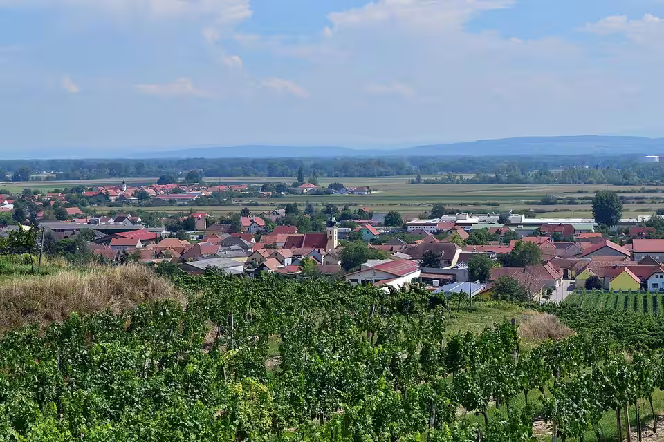 Weingärten vor Gedersdorf