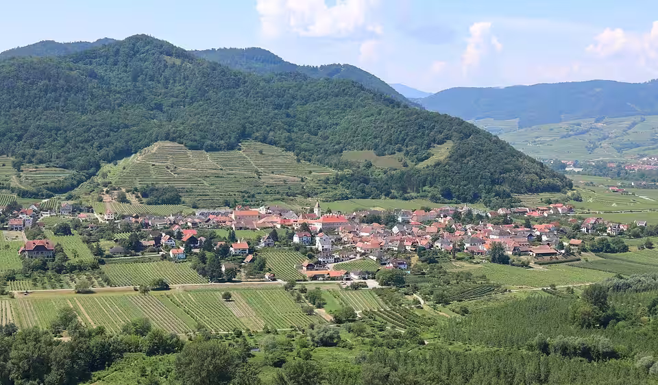 Blick auf Rossatz und die Weingärten in der Gemeinde Rossatz-Arnsdorf