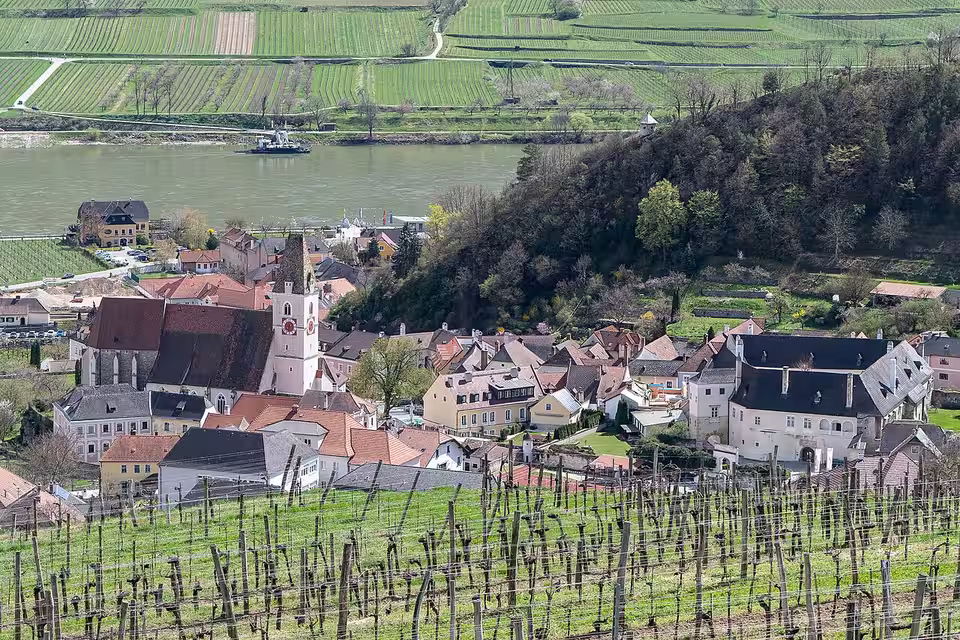 Blick über Weingärten auf Spitz an der Donau