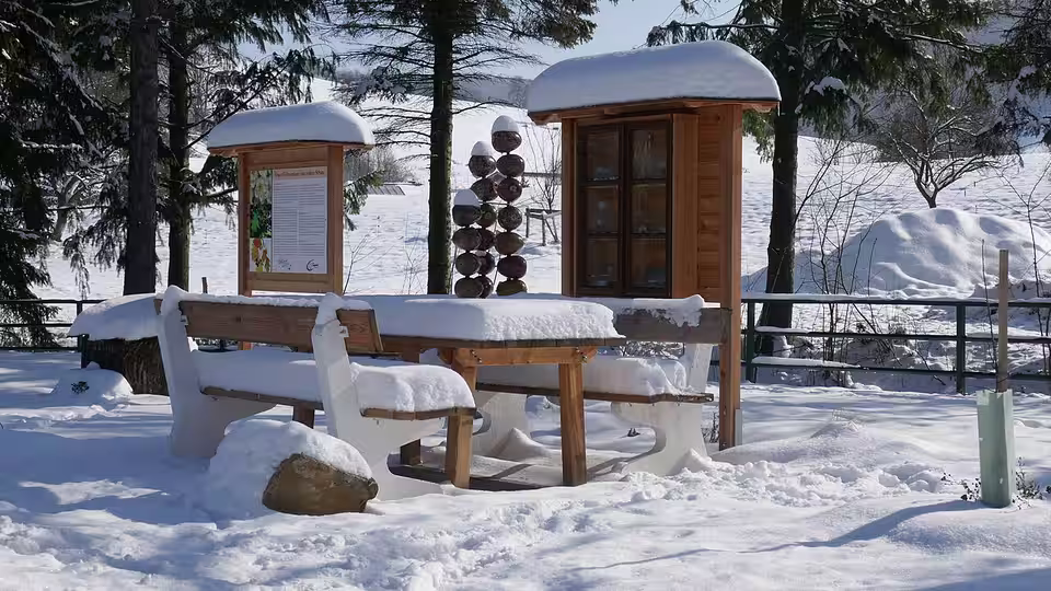 Elsbeerplatz in Michelbach im Winter
