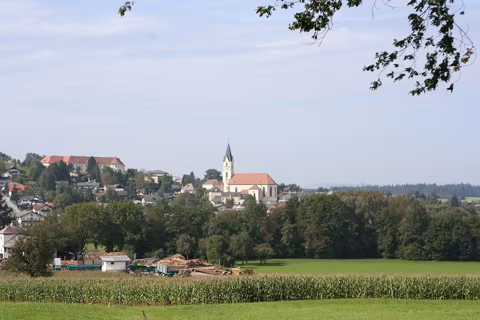 Blick auf Steinakirchen am Forst mit Kirche und Schule