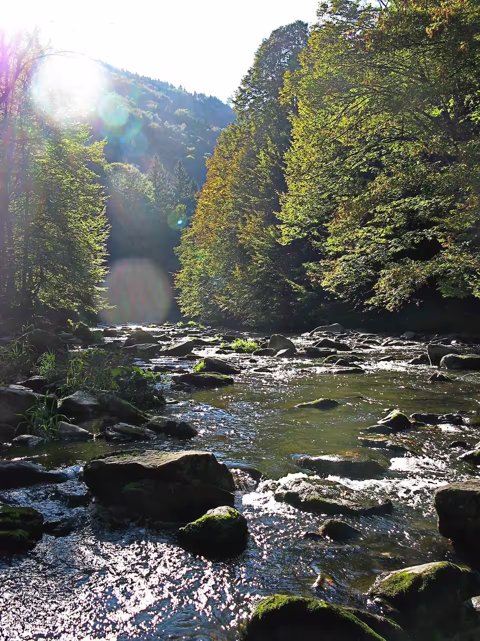 Aschachtal in der Gemeinde Stroheim
