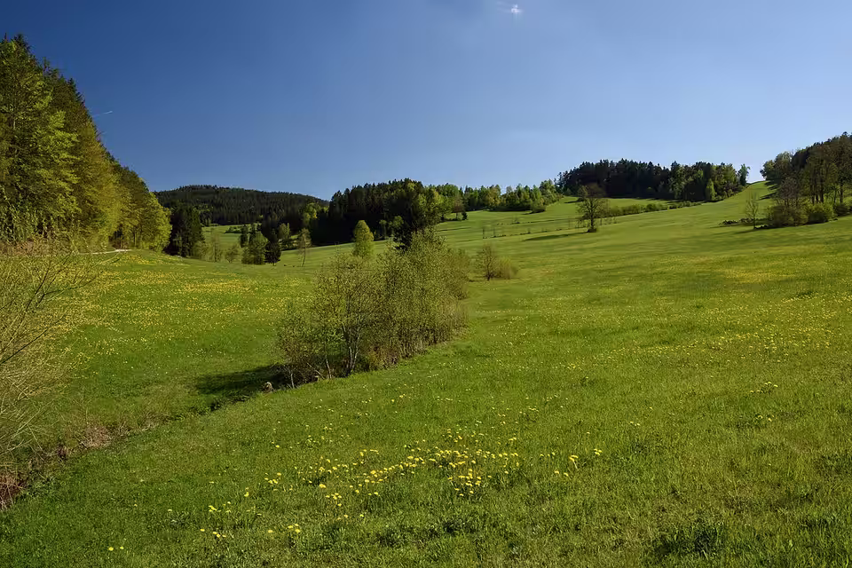 Frühlingslandschaft bei Mairspindt in Windhaag bei Freistadt