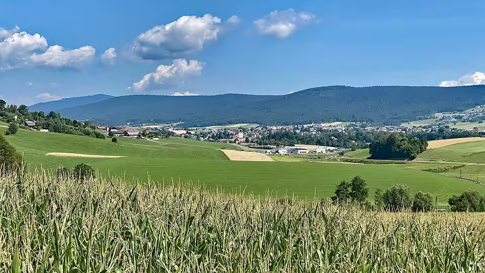 Ortsansicht von Aigen-Schlägl