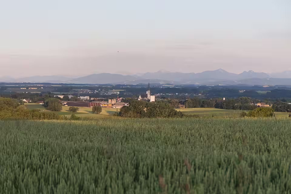 Felder bei Oberndorf mit Blick Richtung Schwanenstadt