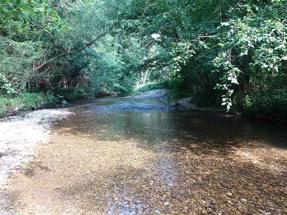 Ottnanger Redlbach in Pühret