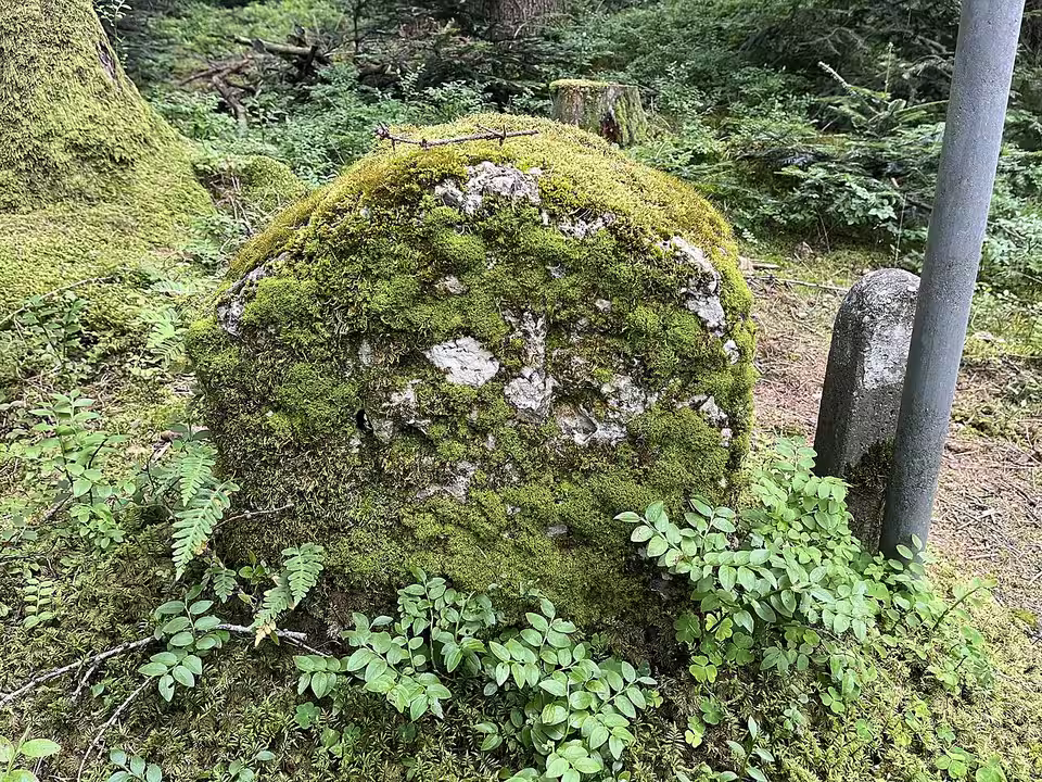 Moosbewachsener historischer Grenzstein im Wald an der Grenze von Redleiten und Waldzell