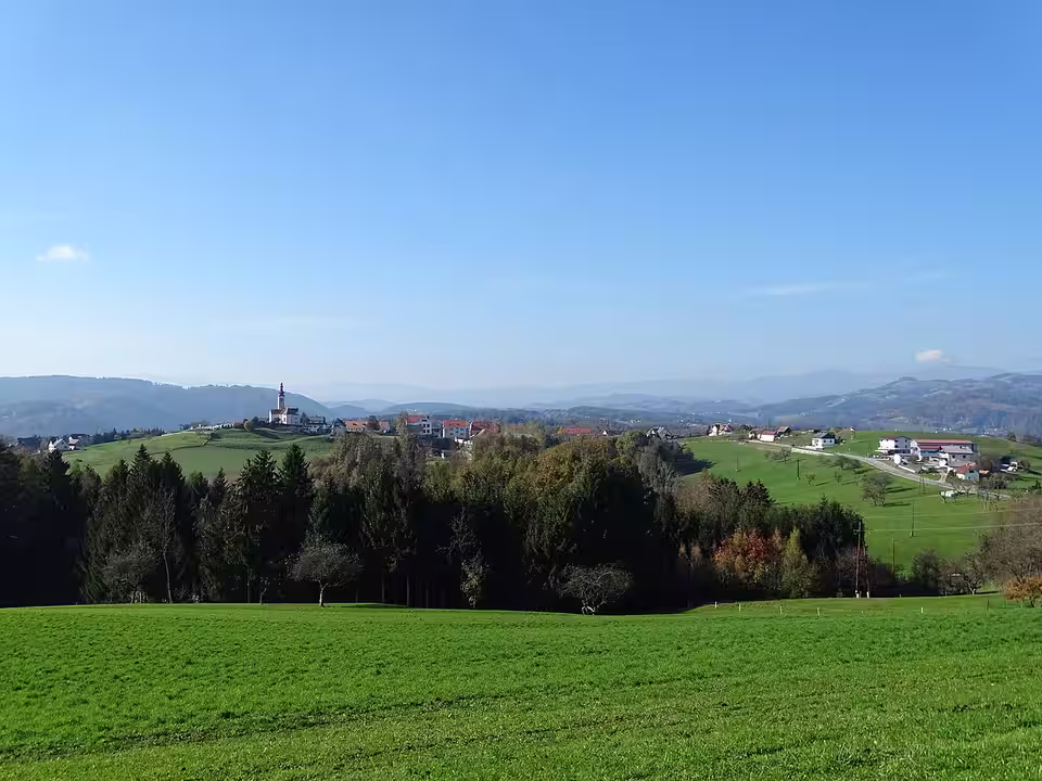 Blick von Osten über Wiesen auf Sankt Oswald bei Plankenwarth