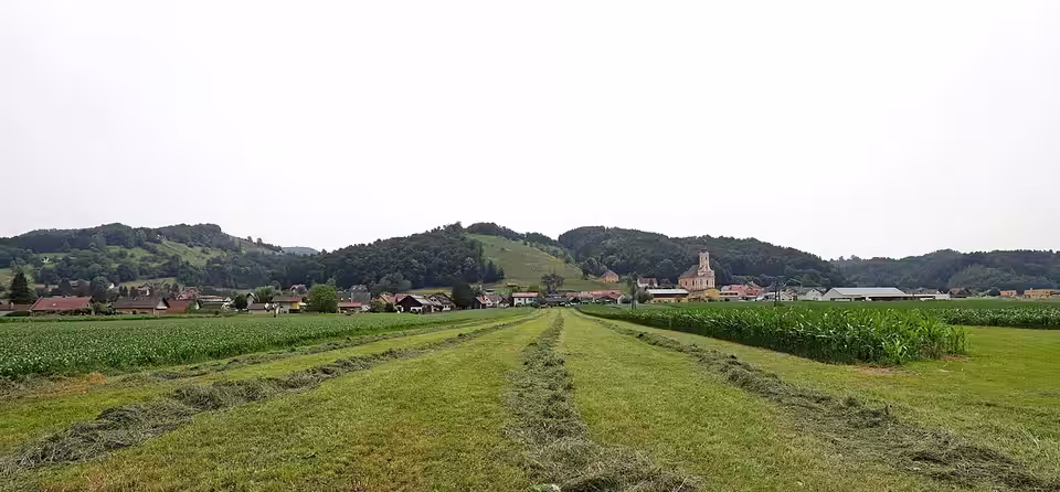 Blick über Felder auf Sankt Johann im Saggautal mit Kirche
