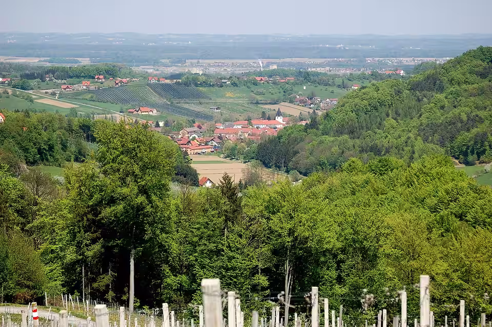Blick vom Schererkogel auf Gamlitz in der südsteirischen Landschaft