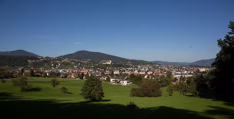 Blick über Wiesen auf die Stadt Weiz