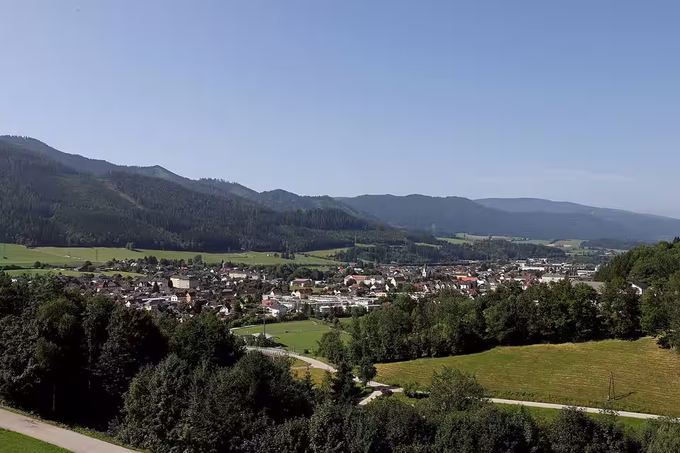 Blick über Langenwang im Mürztal