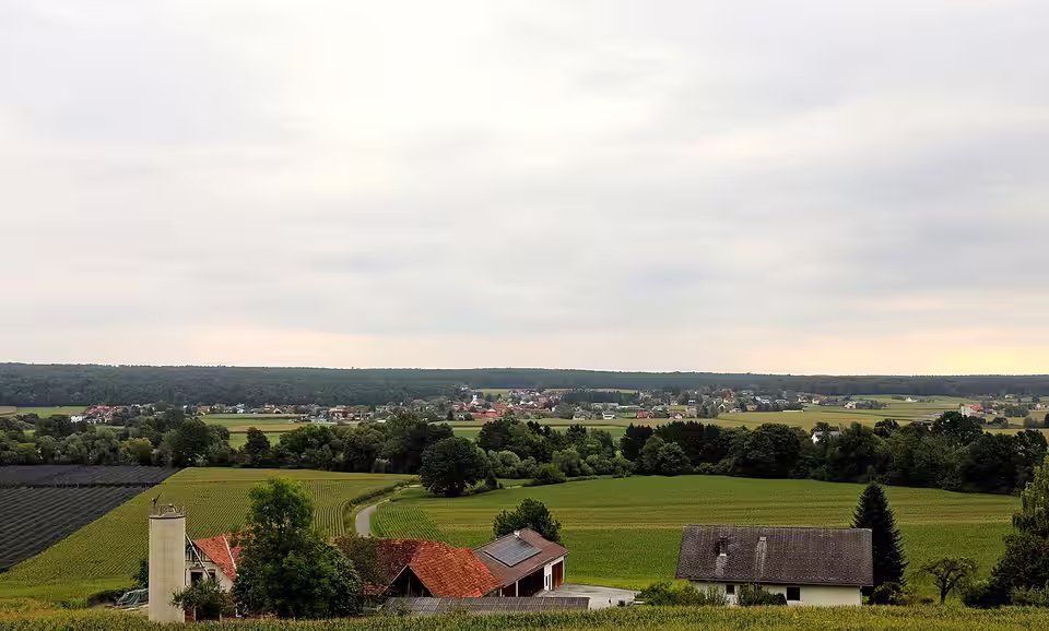 Blick über Felder auf Großsteinbach