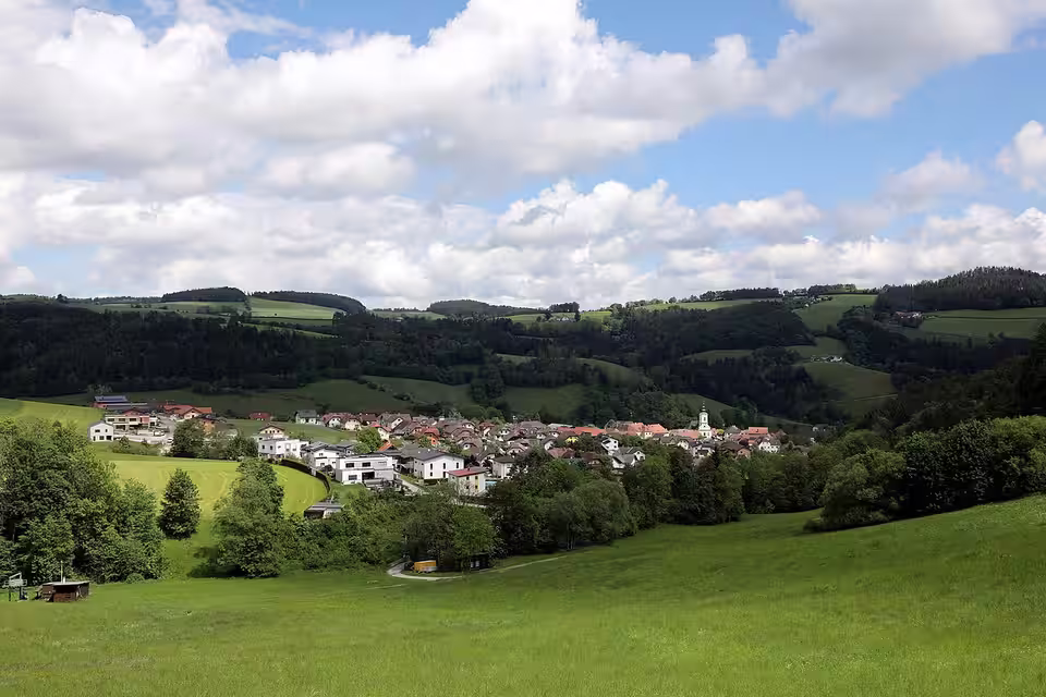 Schäffern zwischen grünen Wiesen und Wäldern