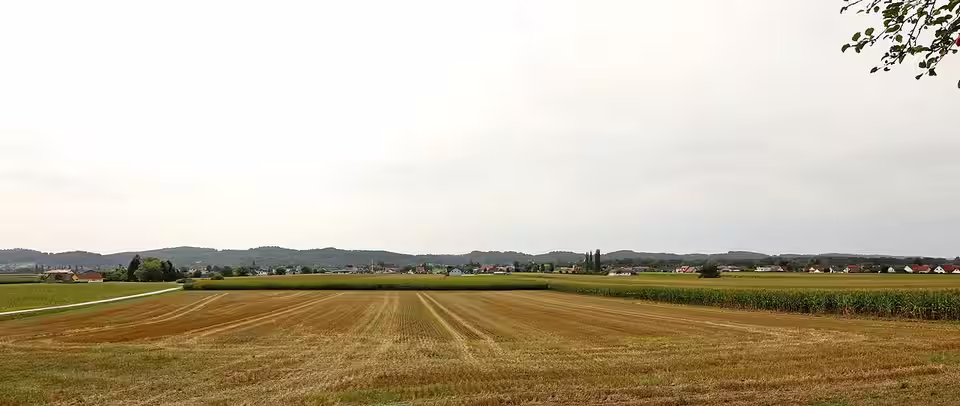 Blick über Felder auf Großwilfersdorf