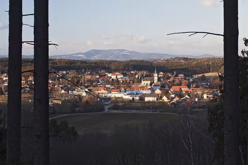 Blick durch Bäume auf Ilz im Abendlicht