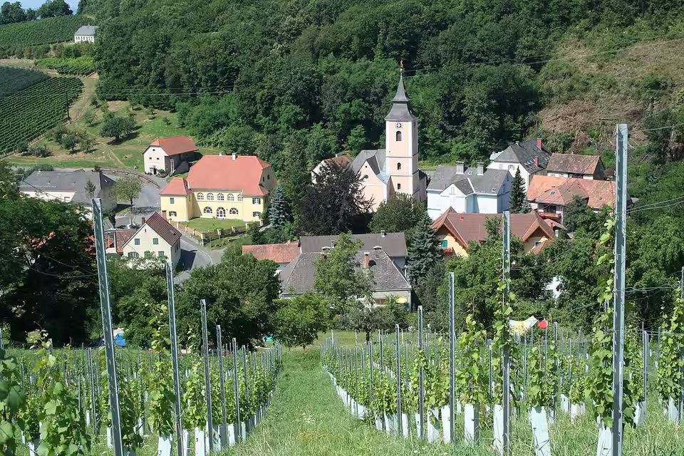Blick durch einen Weingarten auf Klöch mit Pfarrkirche