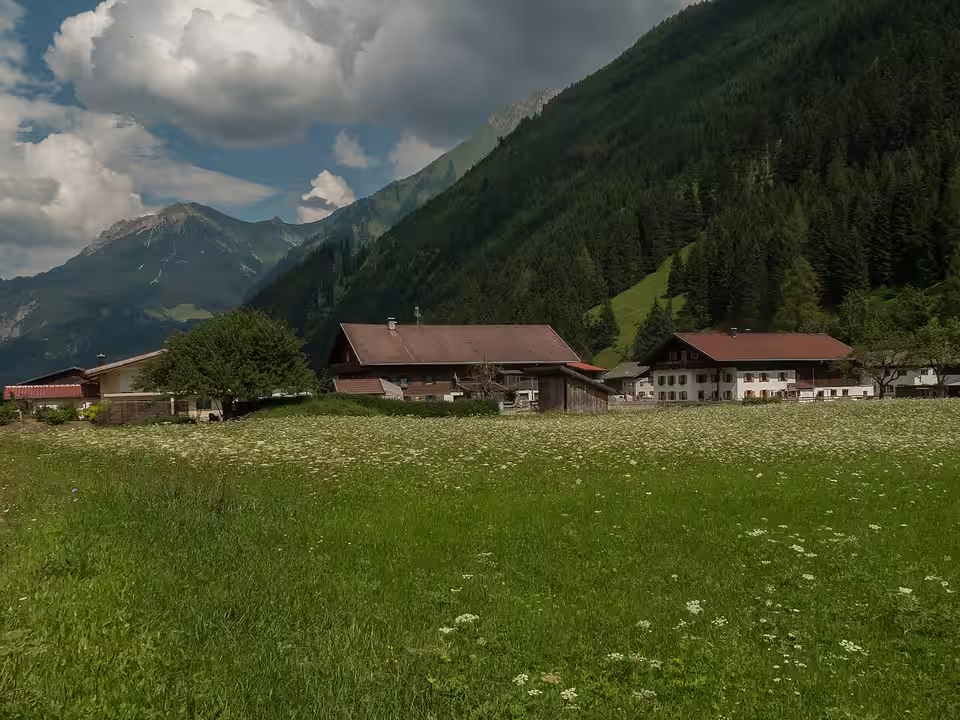 Wohnhäuser in Gutschau, Gemeinde Häselgehr