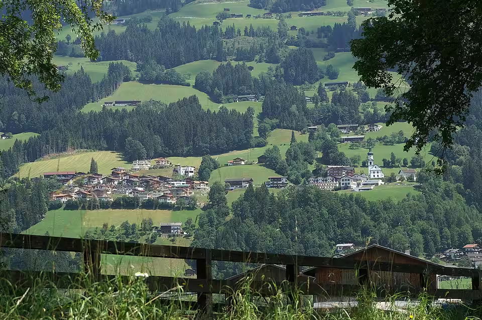 Hart im Zillertal am bewaldeten Berghang