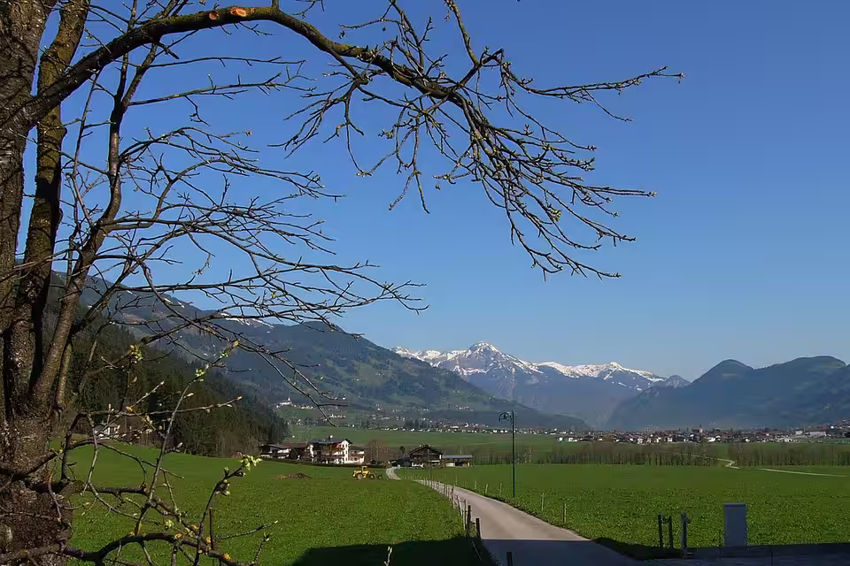 Blick über Wiesen auf Uderns im Zillertal