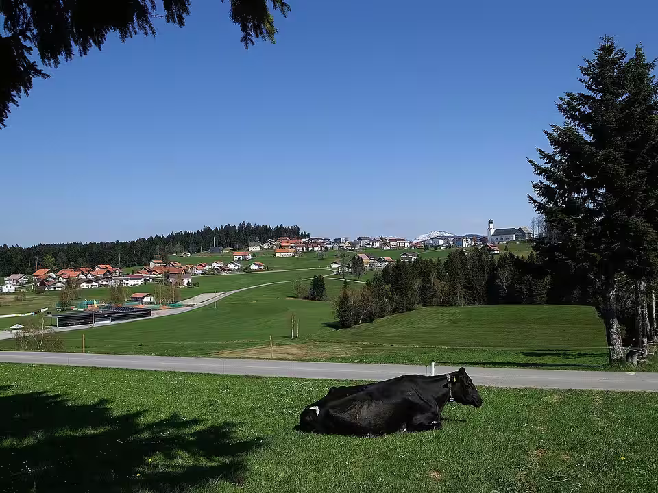 Blick auf Sulzberg mit Weide im Vordergrund