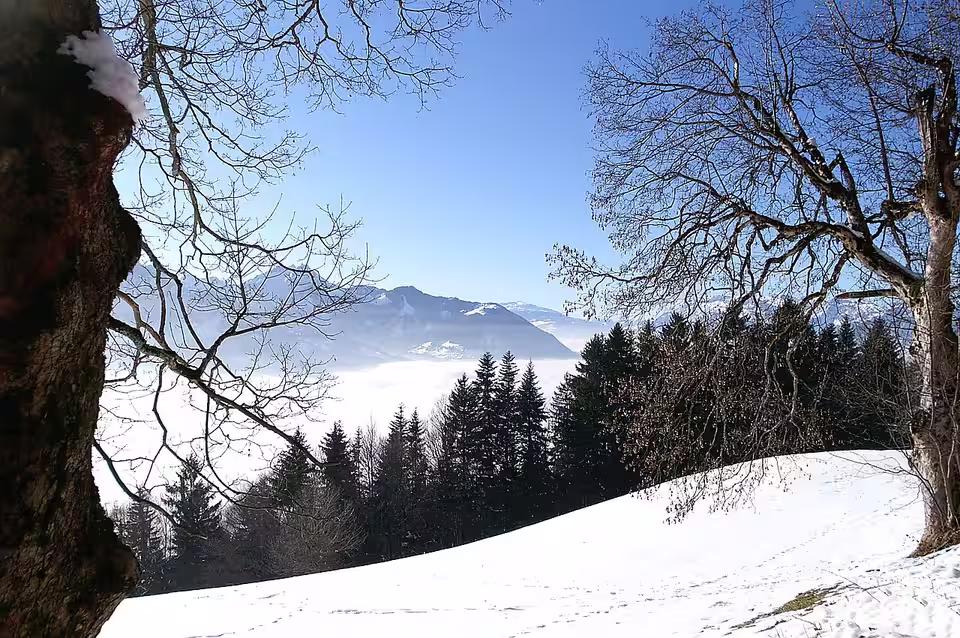 Winterlicher Blick vom Dünserberg über das nebelgefüllte Walgau