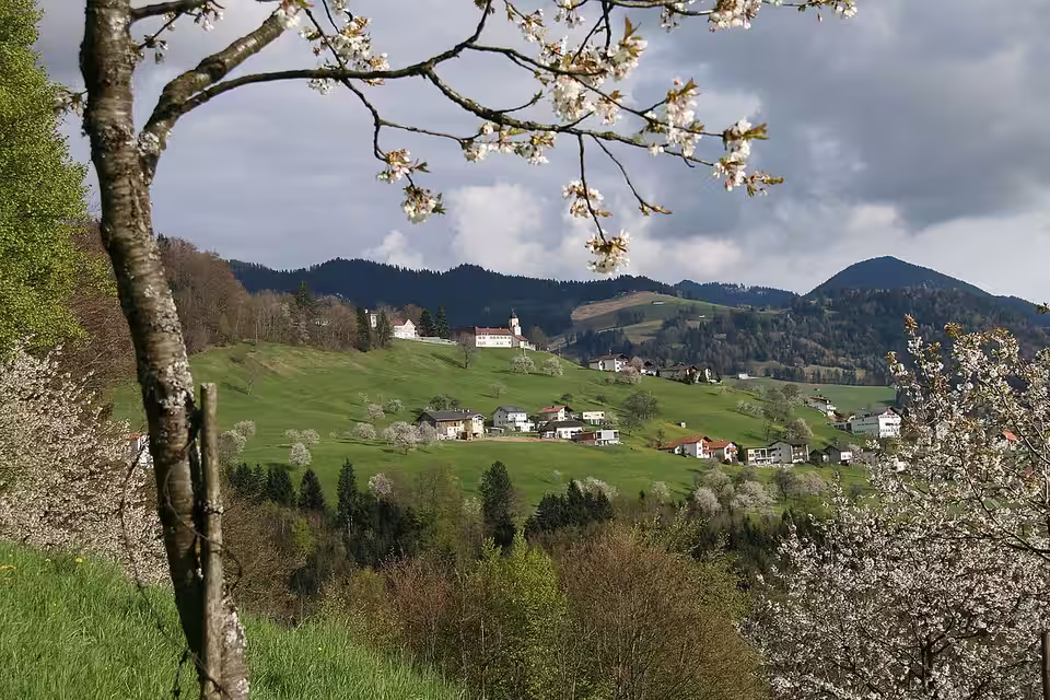 Blick auf Viktorsberg während der Kirschblüte
