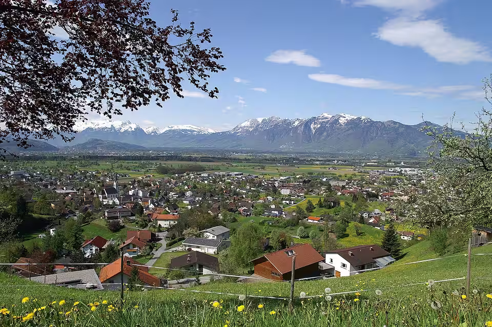 Blick auf Weiler und die Schweizer Berge